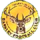 club logo