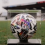 Silent Auction – Signed Rainbow Ball