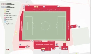 cheltenham stand